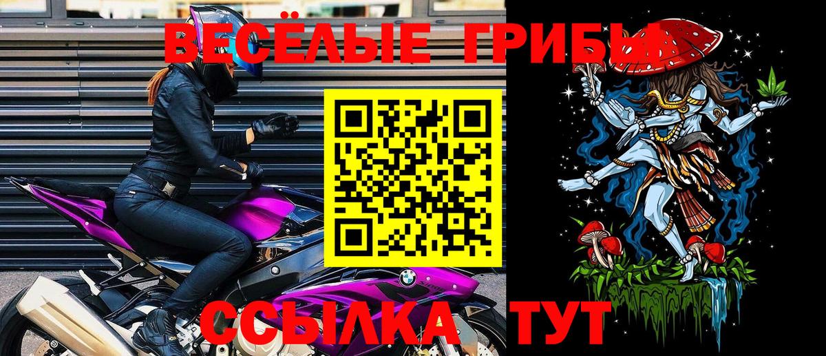 Галлюциногенные грибы мицелий Вязьма