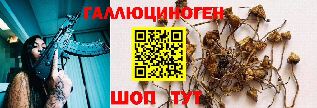 Псилоцибиновые грибы мицелий  Вход с VPN  Галлюциногенные грибы GOLDEN TEACHER  Вязьма 